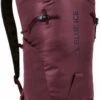 Blue Ice Dragonfly Backpack 26l, Rood
