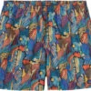 Patagonia Baggies Shorts 5" Men, Bont