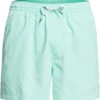 Quiksilver Everyday Volley 15 Shorts Heren, Turquoise