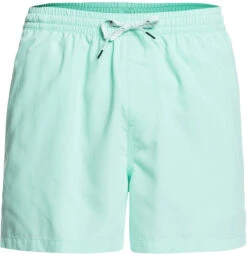 Quiksilver Everyday Volley 15 Shorts Heren, Turquoise