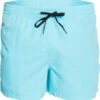 Quiksilver Everyday Volley 15 Shorts Heren, Blauw