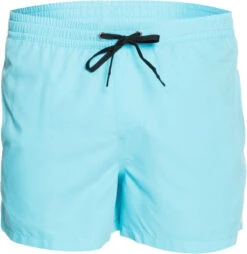 Quiksilver Everyday Volley 15 Shorts Heren, Blauw
