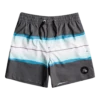 Quiksilver Resin Tint 14" Volley Shorts Jongeren, Grijs/wit