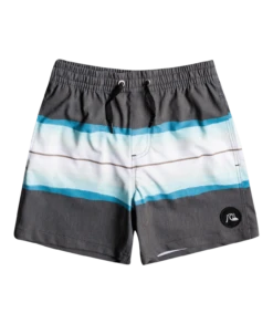 Quiksilver Resin Tint 14" Volley Shorts Jongeren, Grijs/wit