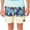 Rip Curl Undertow S/E Boardshorts Jongens, Bont